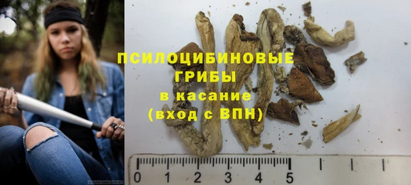 ГАЛЛЮЦИНОГЕННЫЕ ГРИБЫ Абинск