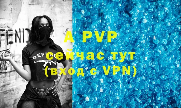 стаф Алексин