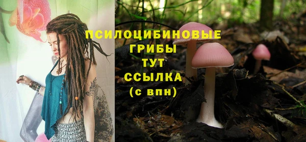 ГАЛЛЮЦИНОГЕННЫЕ ГРИБЫ Абинск