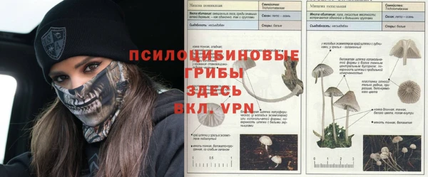 мдпв Абаза