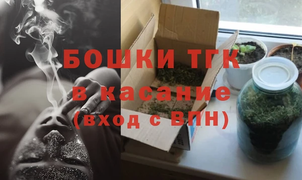 стаф Алексин