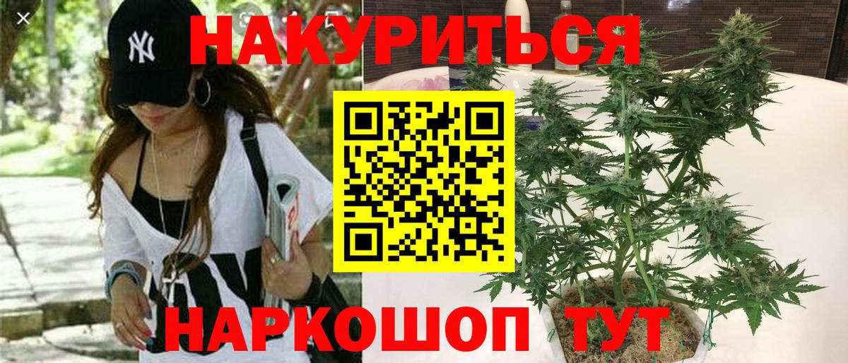 Марихуана план Котлас